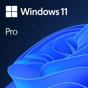 Windows 11 Pro Eng Intl OEM (FQC-10528)