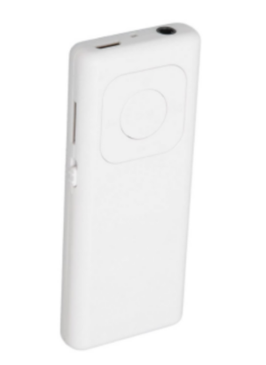 MP3 Player 301 32GB beli